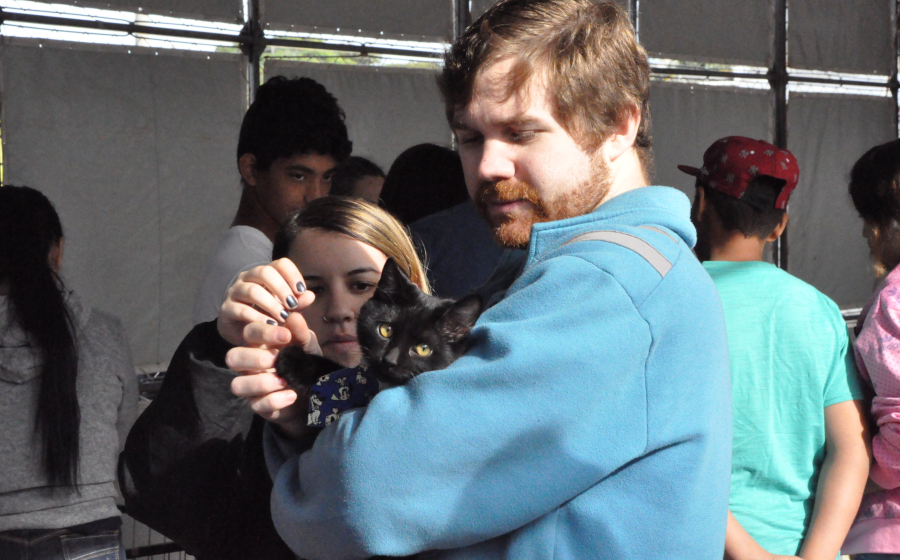 1º Dia Dourado de Proteção e Prevenção Animal é realizado em Sarandi